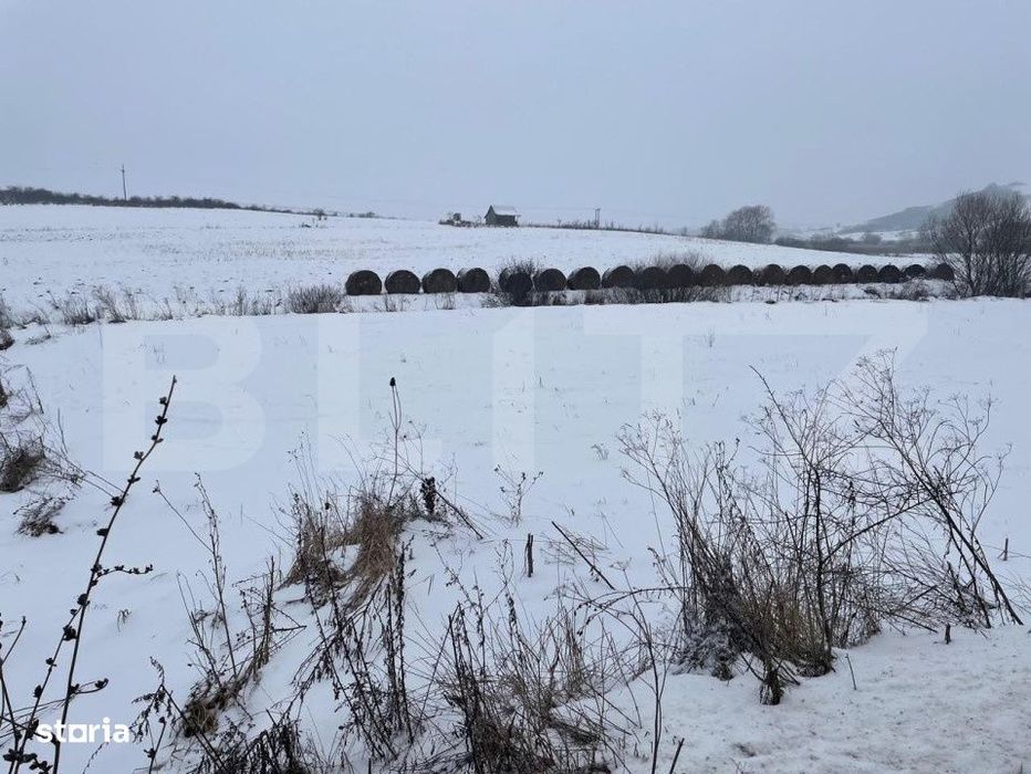 Teren intravilan in Chinteni 1000 mp, utilitati in vecinatate