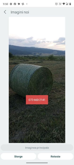 Baloti fan si lucerna