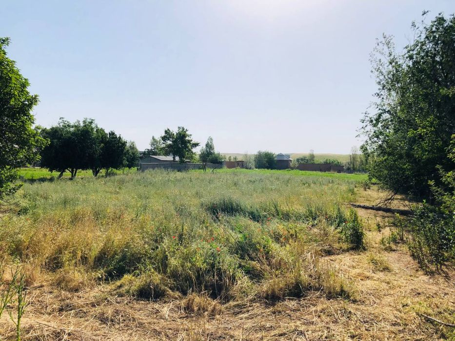 HOVLI SOTILADI  24sotix 8xonali yashashga tayyor