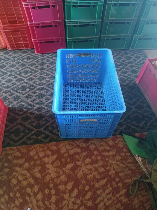 Plasmasa yashik tara
