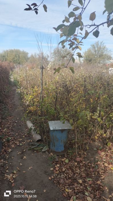 Продам дачу Торг есть