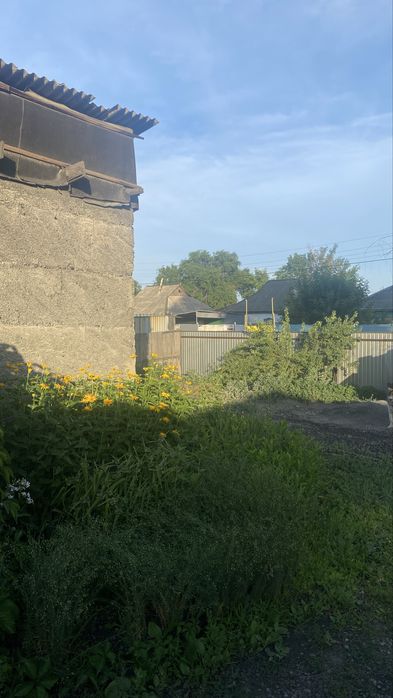 Продам дом в Уштобе