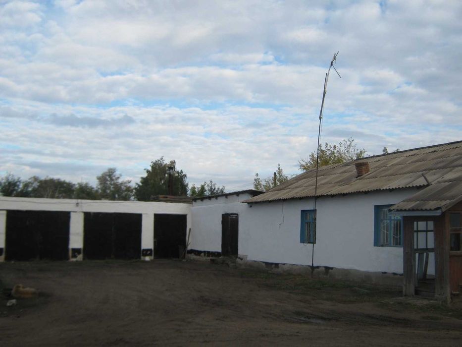 продам два дома в с. Новоямышево