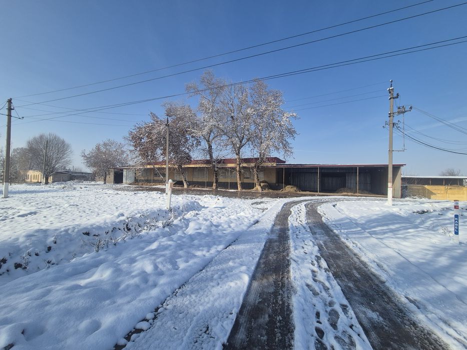 Кафе,ошхона,столовый,на трассе