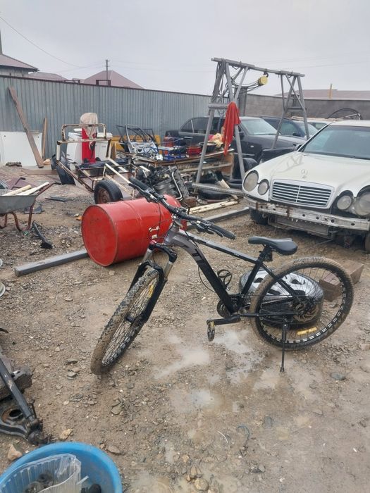 Продам 2велик қызылорда