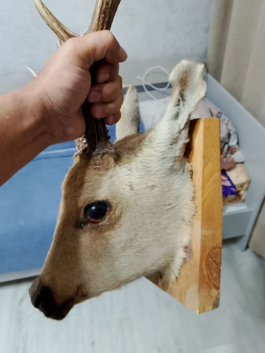 Продам в хорошем состояний