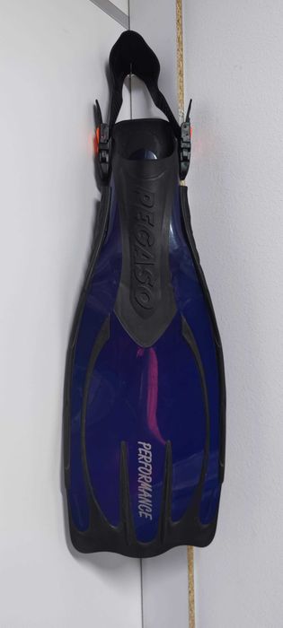 Labe de inot PEGASO