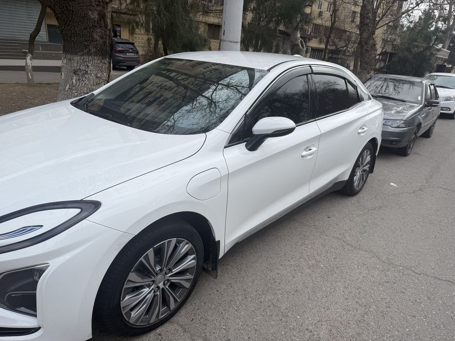 Hongqi E-QM5 sotiladi