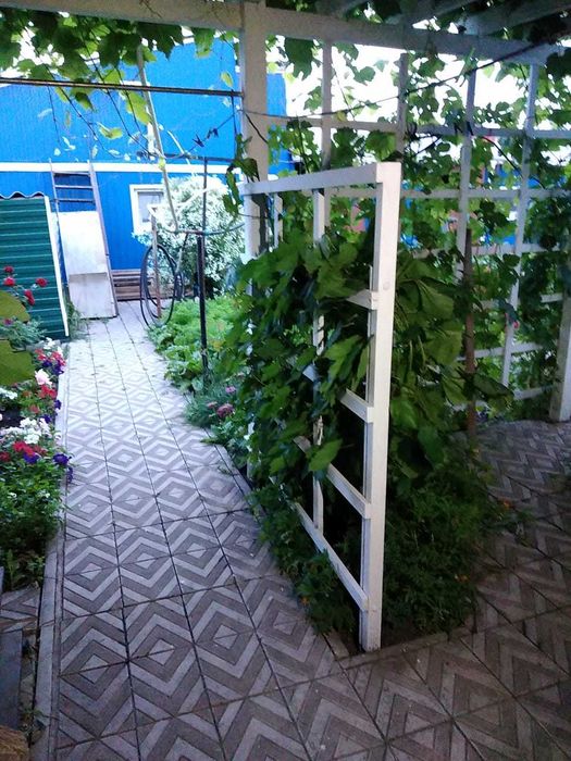 дом  на Сандригайло