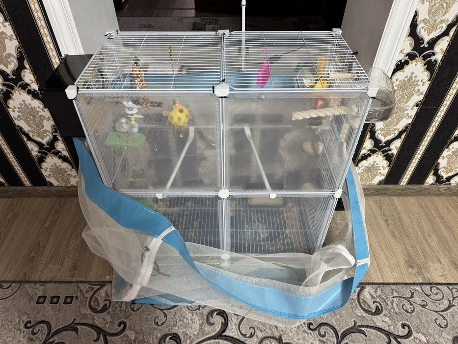 Продам попугайчиков полный комплект