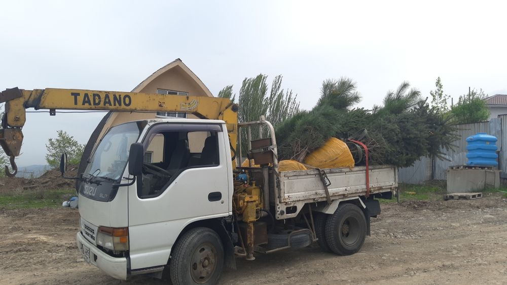 Услуга маленького манипулятора!