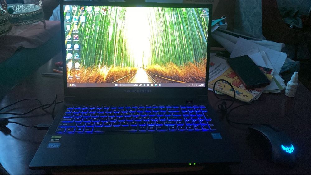 Ноутбук ThundeRobot 911S