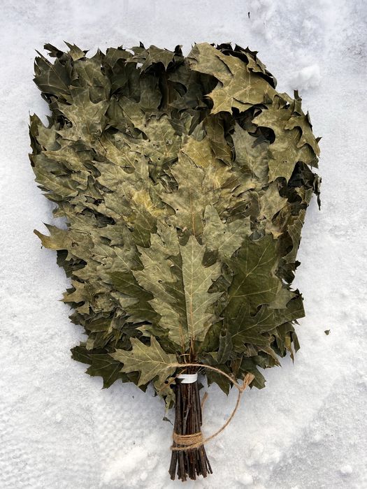 Веники банные .