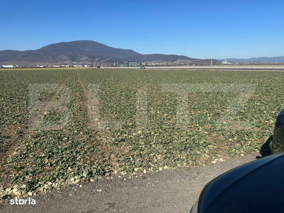 Teren de vanzare – 47.577 mp, Codlea, cu deschidere la DN1