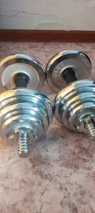 Гантели разборный 10кг