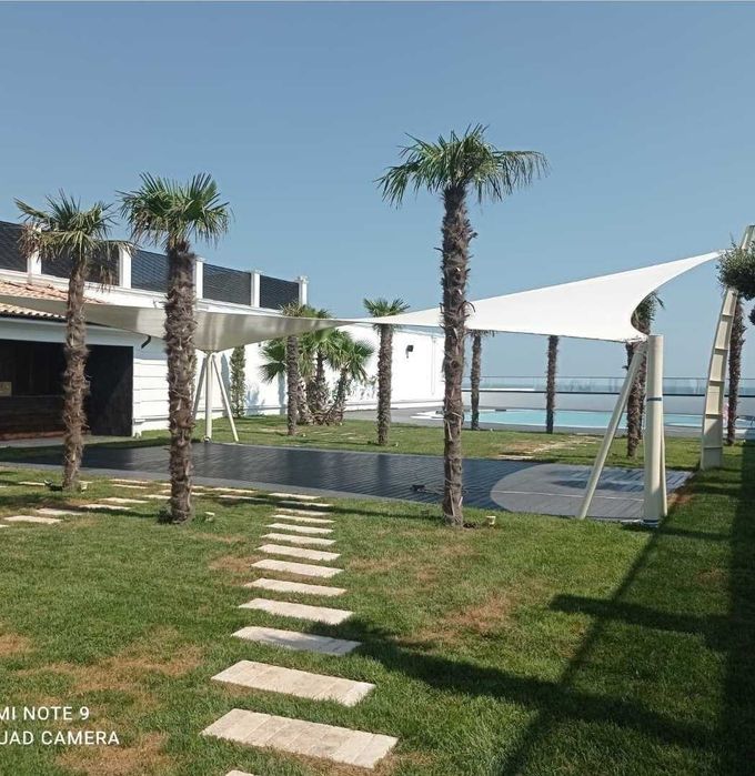 Korshapalak membrana. Membran. membranali gumbaz