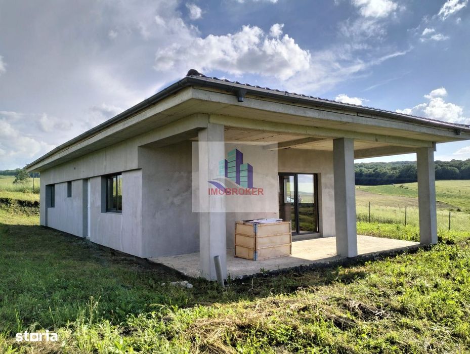 Vând casă individuală în Săliștea Nouă * Comision 0%