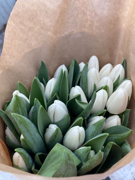 Тюльпаны опта на 8марта