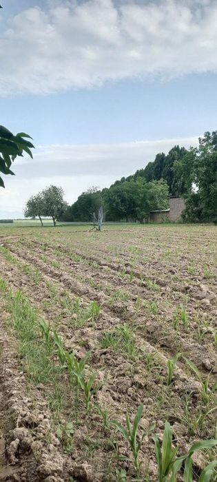 Yer uchastkasi sotiladi