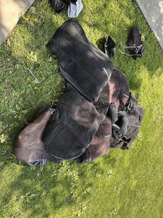 Чехоы в хорошем состоянии