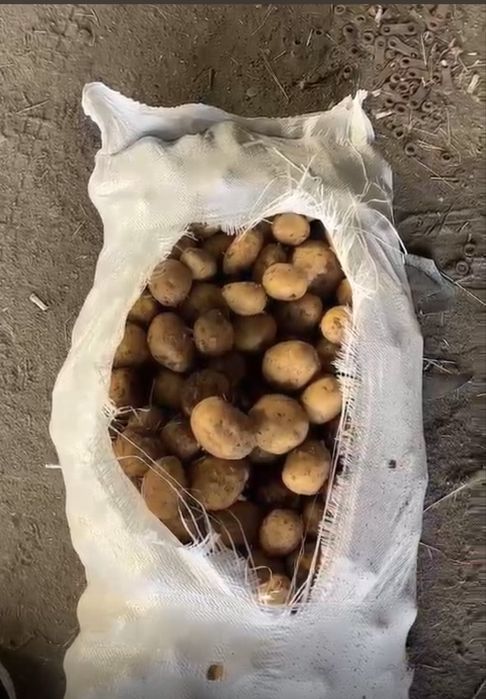 Продам картошку(картофель)