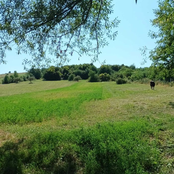 Vand teren intravilan sat Gura Vaii comuna Girov