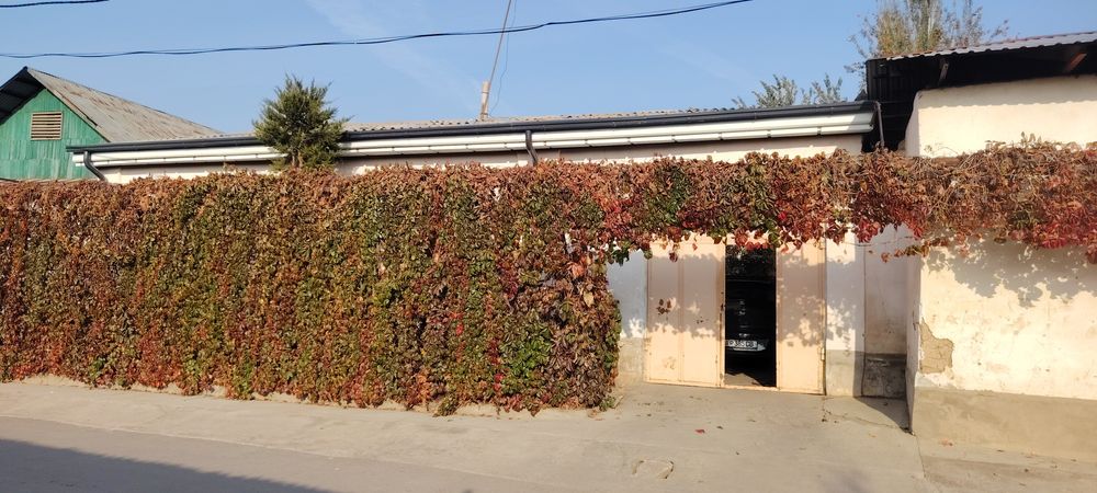 Уй сотилади канал буйида