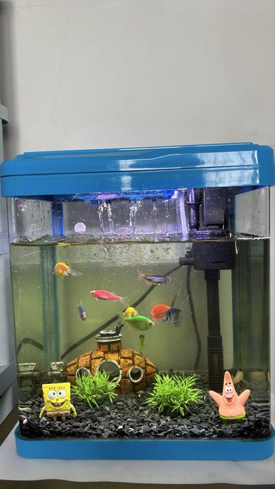Продам аквариум с рыбками!