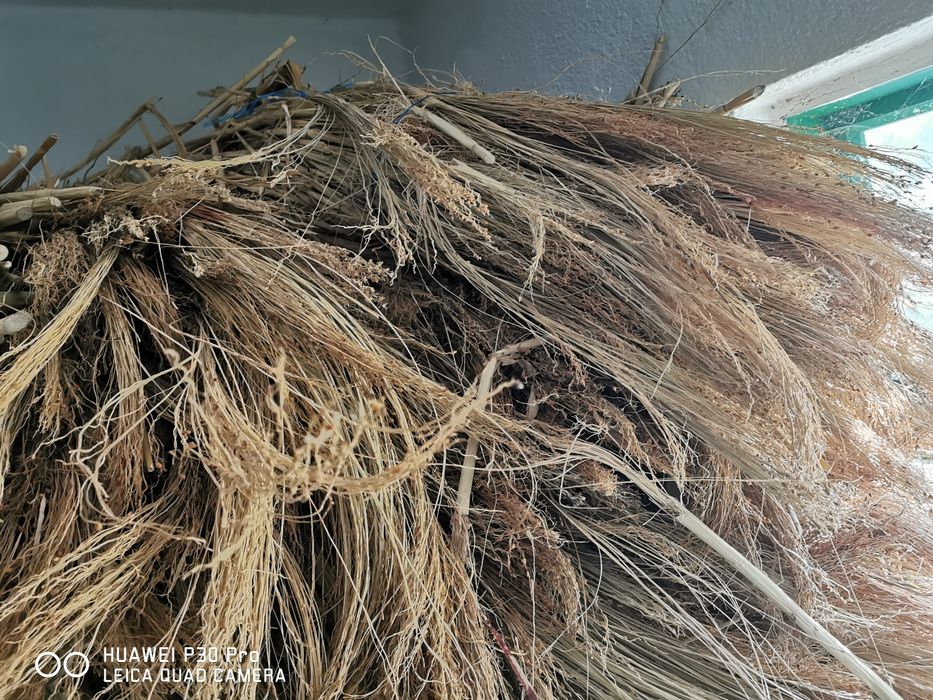 Продавам метлен клас - стара и нова реколта