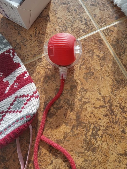 Комплект за котенце