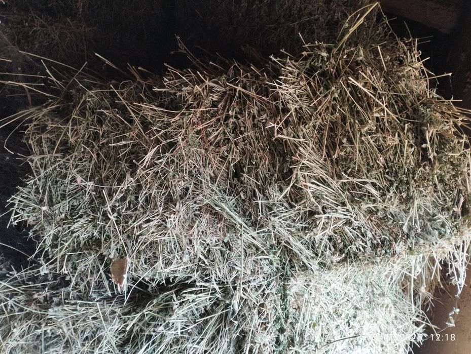 Beda presslari sotiladi.