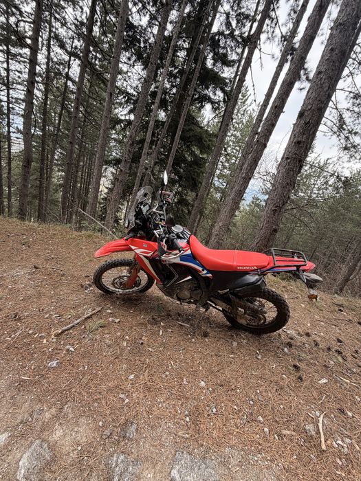 Honda crf 300 rally