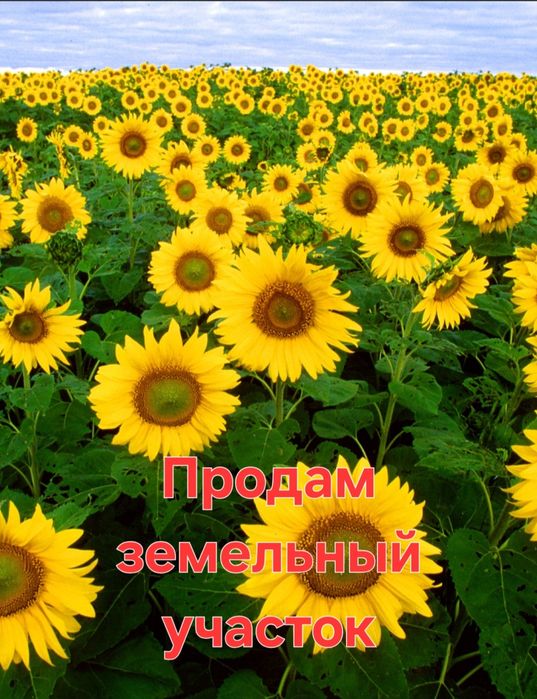 Продам участок вдоль дороги