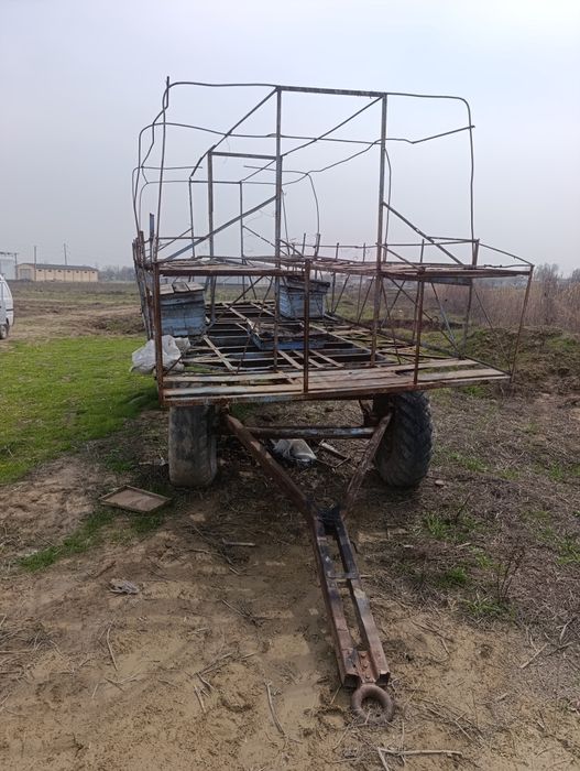 Асалари павилёни