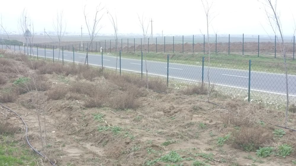 Uzim bog' kop yilga ijaraga beriladi