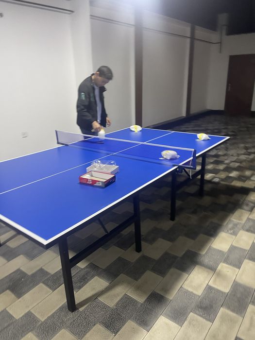 Стол теннис теннисный стол пинг понг настольный тенис