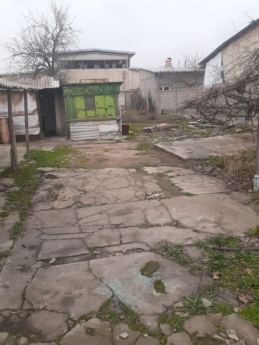 8 Сотих в Ташкенте