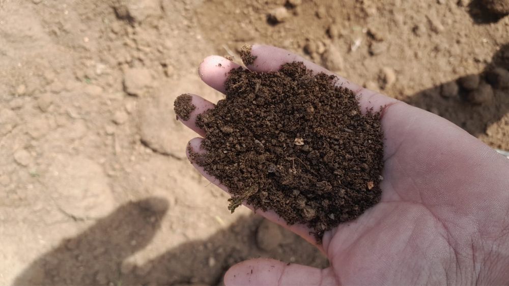 Гөң,навоз,огород газонға чернавоз