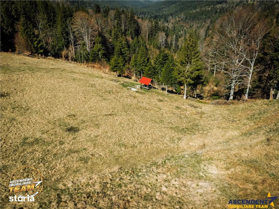 In notabil areal, teren extravilan pe 5.800 mp, Ojdula, Covasna