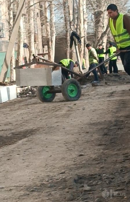 Bardiyor kutargich sotiladi