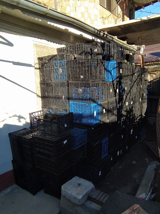 Vând lădițe de plastic si baxuri de banane