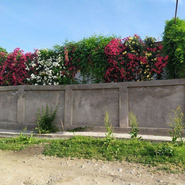 Уй ховли 4 сотих 8 хона сотилади