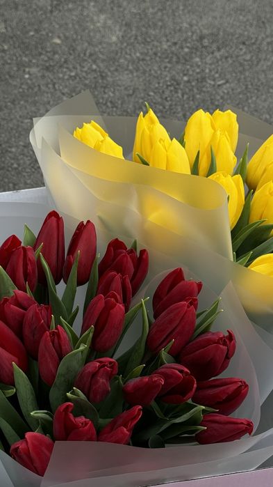 Тюльпаны. Тюльпаны Тараз. Премиум букеты. Тюльпан букет