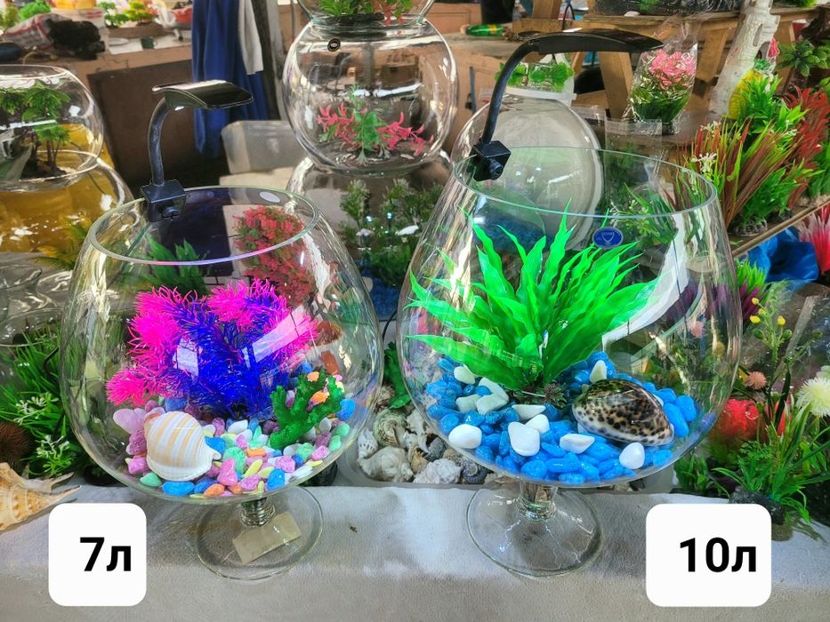 Рюмка аквариум 7 . 10 , 12л