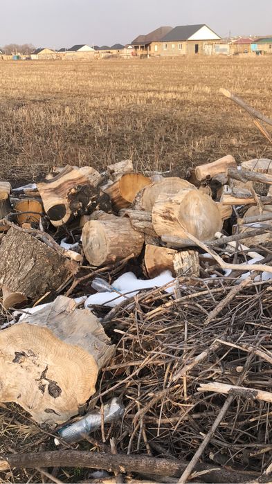 Дрова для шашлыка и бани