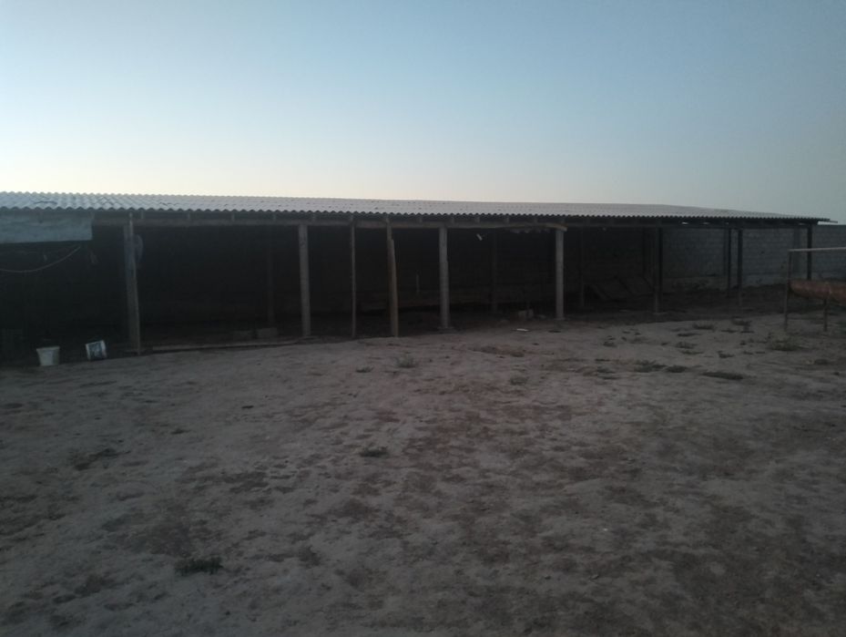 Кора фазенда қора