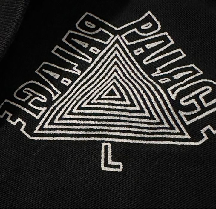 Palace x Arcteryx Тениска