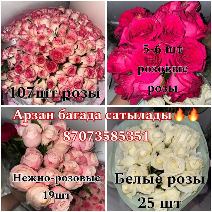 Белые розы свежие!