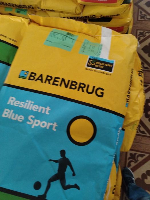 Семена газона Barenbrug