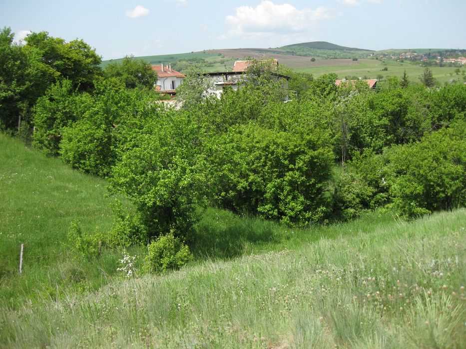 Продава се Парцел в с. Пожарево, Област София-област - 1241 кв.м за 41 €/кв.м - Снимка #3